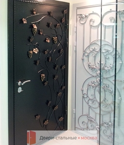 Фото дверей с коваными накладками