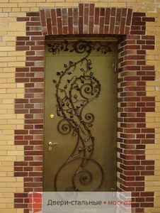 Фото двери с коваными элементами