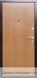 Входная дверь с панелью ламината