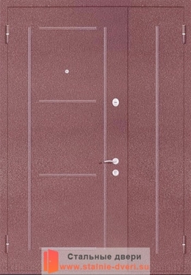 Порошковая дверь с рисунком PR-023