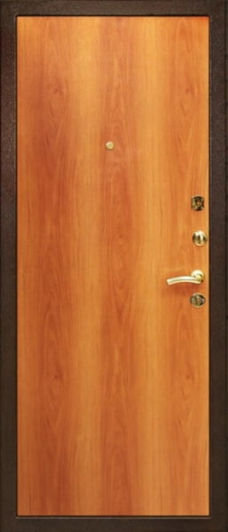 Дверь с порошковым напылением ZK-090