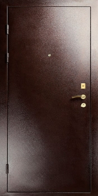 Дверь с порошковым напылением ZK-096